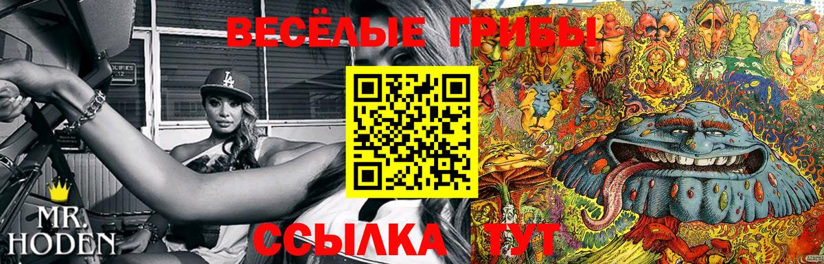 Шебекино  Галлюциногенные грибы прущие грибы  Вход с VPN  Галлюциногенные грибы GOLDEN TEACHER 