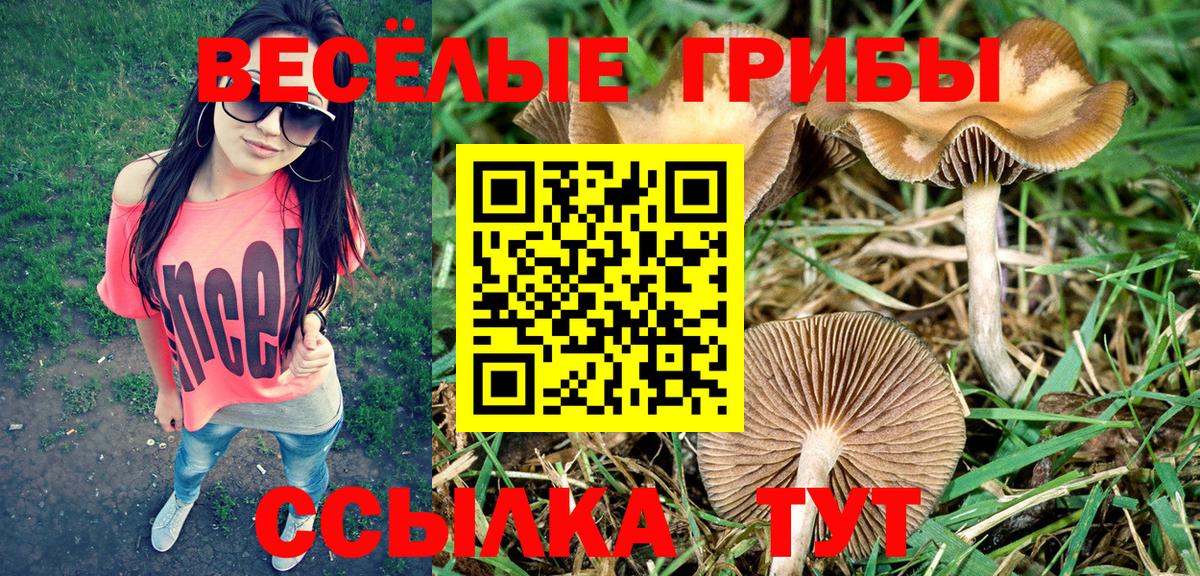 Галлюциногенные грибы ЛСД Шебекино